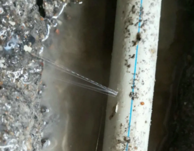 东阳测漏水哪家好