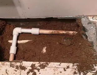 东阳测漏水哪家好