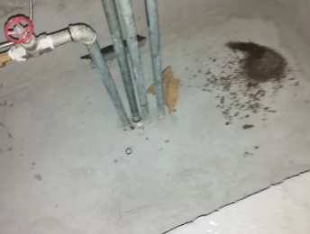 东阳卫生间测漏水价格明细