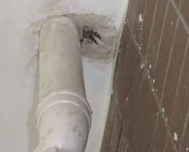 东阳漏水检测哪家好